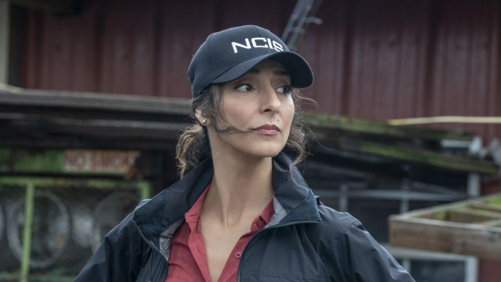 Necar Zadegan plays the role of Hannah Koury on NCIS